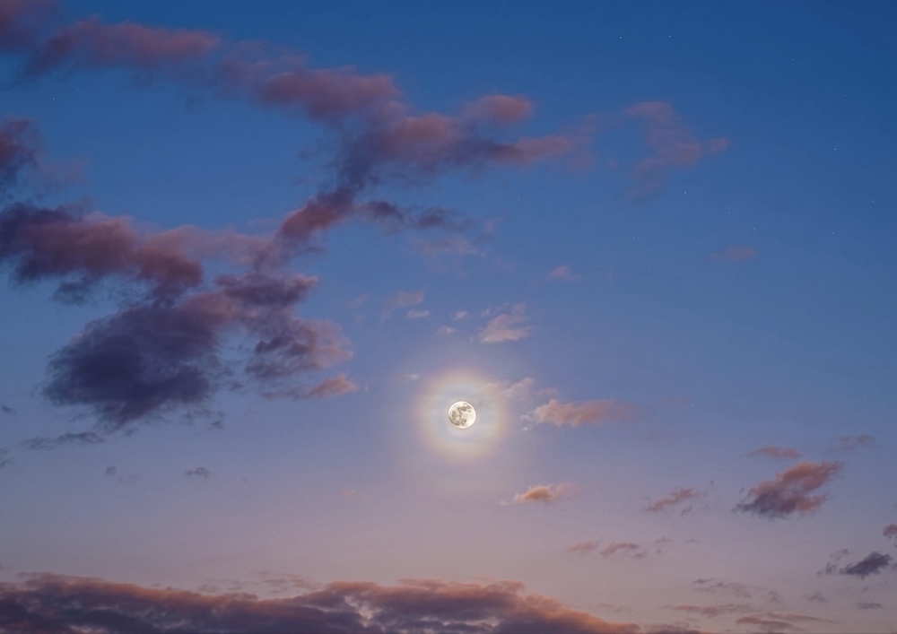 La Fraternité du Silence (Le lien invisible qui nous unit).